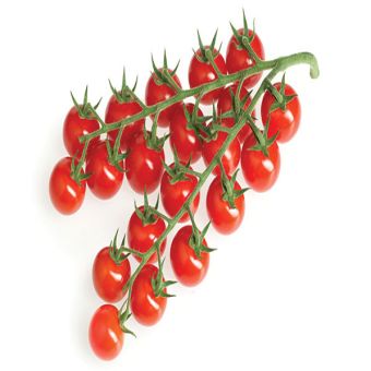 Cherry Vine Tomatoes (Class I)-1x3kg01